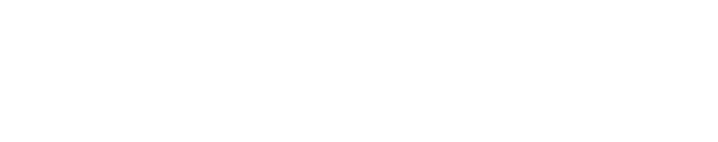Live Stories logo